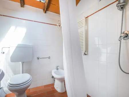Podere Cima a Zano / Apt.Alfiero, Appartement 4 personnes à Pescia - Photo 24