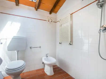 Podere Cima a Zano / Apt.Alfiero, Appartement 4 personnes à Pescia - Photo 27