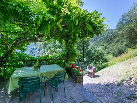 Podere Cima a Zano / Apt.Alfiero, Appartement 4 personnes à Pescia - Photo 31
