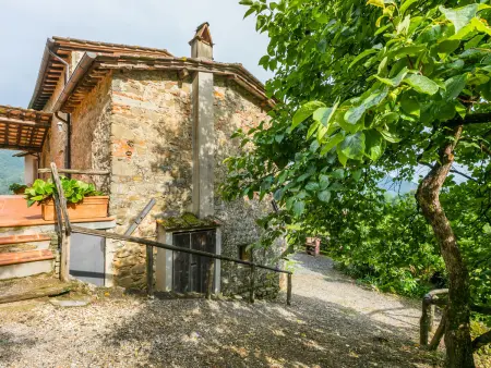 Podere Sondino/Apt.Casa di Pietro, Appartement 6 personnes à Pescia - Photo 3
