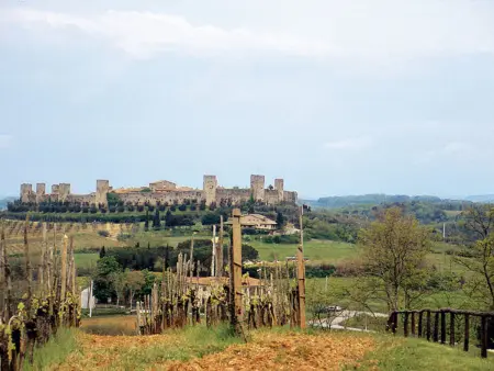 Fattoria Petraglia - Di Mezzo (MTG202), Gite 5 personnes à Monteriggioni - Photo 58