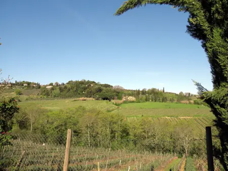 Alle Vacche, Appartement 3 personnes à San Gimignano - Photo 44