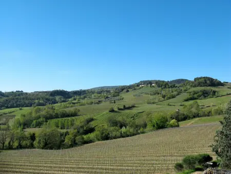 Casa alle Vacche, Appartement 5 personnes à San Gimignano - Photo 30