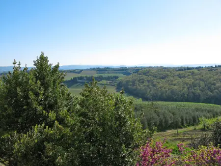Casa alle Vacche, Appartement 5 personnes à San Gimignano - Photo 39