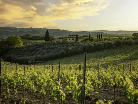 Podere San Michele, Gite 10 personnes à San Gimignano - Photo 63