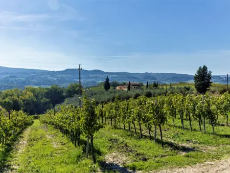 Podere San Michele, Gite 10 personnes à San Gimignano - Photo 69