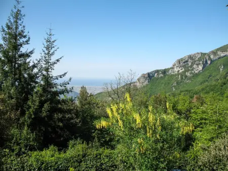 La Quercia, Gite 5 personnes à Camaiore - Photo 4