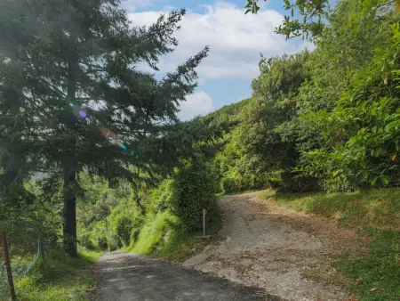La Quercia, Gite 5 personnes à Camaiore - Photo 37