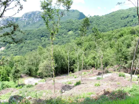 La Quercia, Gite 5 personnes à Camaiore - Photo 38