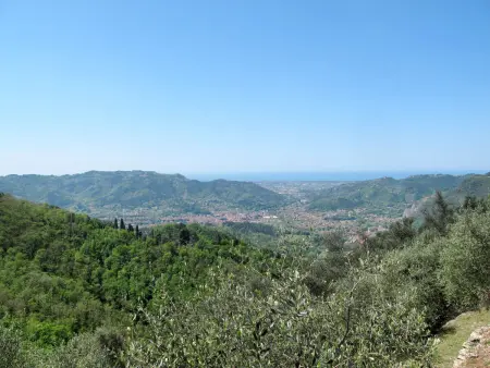 Olivella, Maison 4 personnes à Camaiore - Photo 4