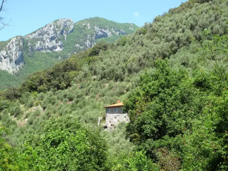 Olivella, Maison 4 personnes à Camaiore - Photo 24