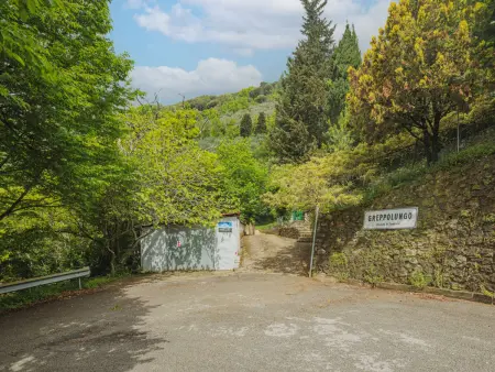 Alba, Maison 4 personnes à Camaiore - Photo 32