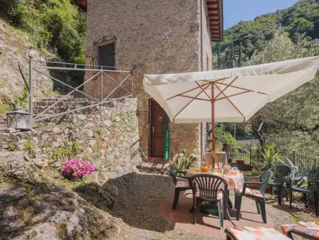 L'Oliveto, Maison 4 personnes à Camaiore - Photo 2
