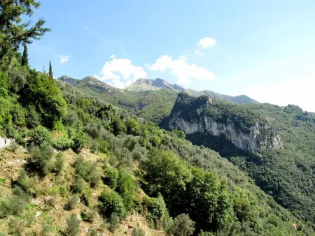 L'Oliveto, Maison 4 personnes à Camaiore - Photo 4
