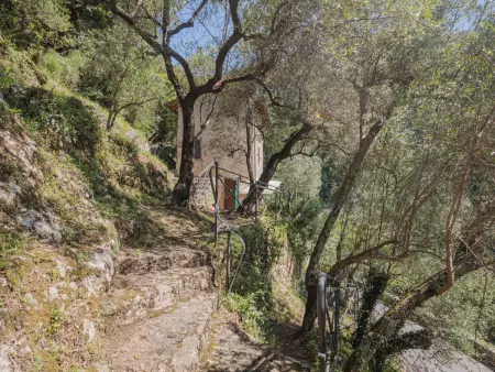 L'Oliveto, Maison 4 personnes à Camaiore - Photo 22