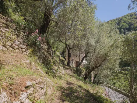 L'Oliveto, Maison 4 personnes à Camaiore - Photo 23