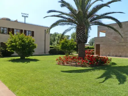 Cosmopolitan Golf (TIR280), Appartement 4 personnes à Tirrenia - Photo 9
