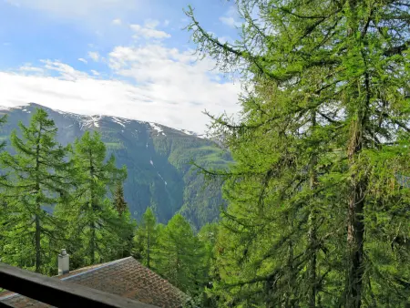 Chalet Soldanella (BEL205), Chalet 6 personnes à Bellwald - Photo 13