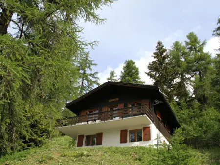 Chalet Soldanella (BEL205), Chalet 6 personnes à Bellwald - Photo 14