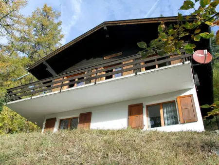 Chalet Soldanella (BEL205), Chalet 6 personnes à Bellwald - Photo 15
