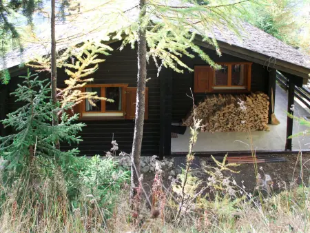 Chalet Soldanella (BEL205), Chalet 6 personnes à Bellwald - Photo 16