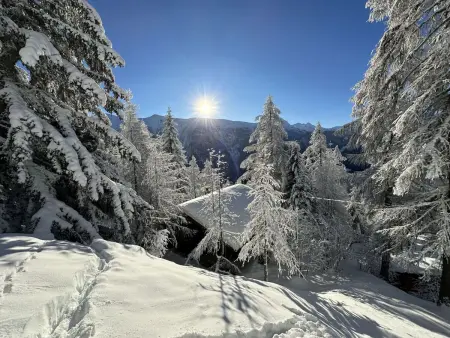 Chalet Soldanella (BEL205), Chalet 6 personnes à Bellwald - Photo 17