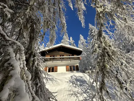 Chalet Soldanella (BEL205), Chalet 6 personnes à Bellwald - Photo 18