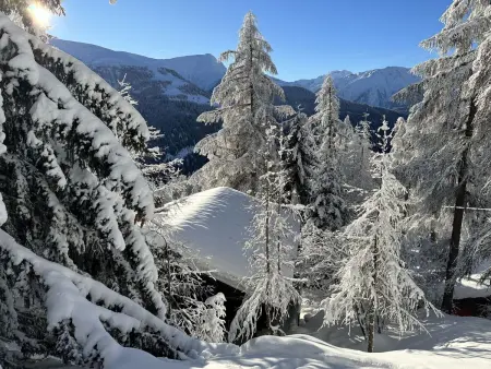 Chalet Soldanella (BEL205), Chalet 6 personnes à Bellwald - Photo 19