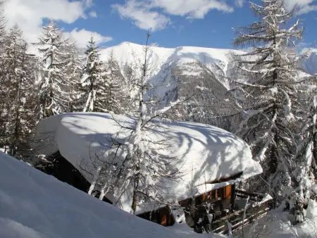 Chalet Soldanella (BEL205), Chalet 6 personnes à Bellwald - Photo 20