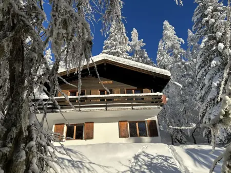 Chalet Soldanella (BEL205), Chalet 6 personnes à Bellwald - Photo 21