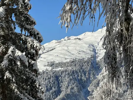Chalet Soldanella (BEL205), Chalet 6 personnes à Bellwald - Photo 24