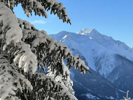Chalet Soldanella (BEL205), Chalet 6 personnes à Bellwald - Photo 26
