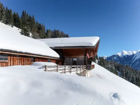 Naulaz, Chalet 14 personnes à Les Crosets - Photo 1