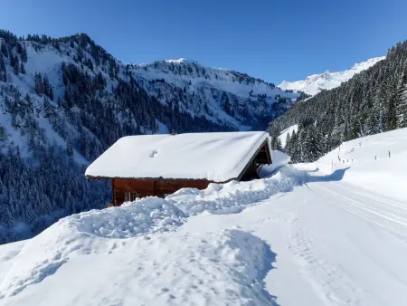 Naulaz, Chalet 14 personnes à Les Crosets - Photo 30
