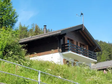 Edelweiss, Chalet 8 personnes à La Tzoumaz - Photo 31