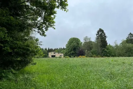 Red Hazels, Retraite rustique à Houvegné - Photo 31