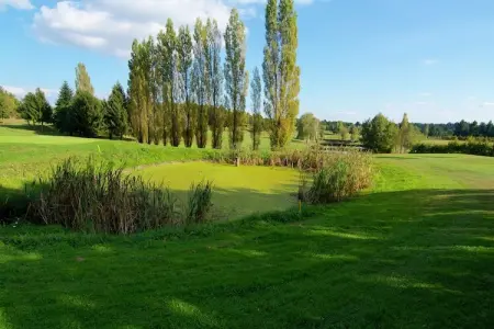 Le Triangle, Maison à Roussines avec Piscine Privée - Photo 34