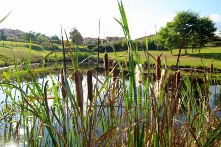 Le Triangle, Maison à Roussines avec Piscine Privée - Photo 35