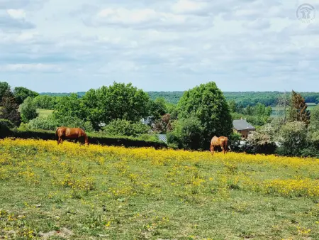 Maison spacieuse à Liessies, idéale pour les familles - Photo 7
