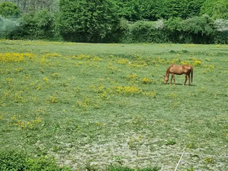 Maison spacieuse à Liessies, idéale pour les familles - Photo 29