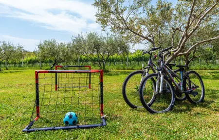 Location Maison 4 personnes à Posedarje - Photo 23