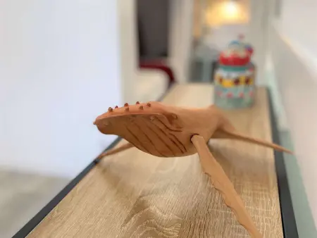 Duplex à Combrit: plage à pied, piscine chauffée et tennis - Photo 17