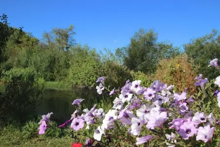 Li Vêrt Veschau, Gîte familial à la ferme à Sohier - Photo 29