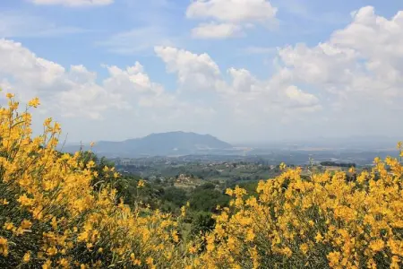 Azzurro, Ferme à Casperia avec piscine et vue - Photo 37