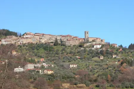 Olivi Verde, Cottage tranquille, San Quirico - Photo 32