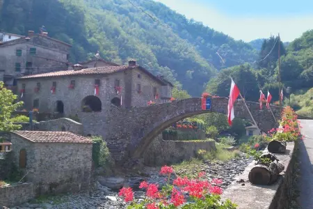 Olivi Verde, Cottage tranquille, San Quirico - Photo 33