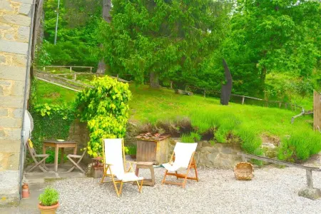 Olivi Giallo, Cottage à Pescia avec piscine - Photo 7