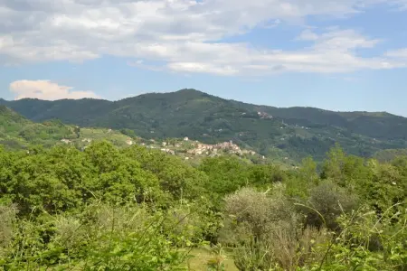 Olivi Giallo, Cottage à Pescia avec piscine - Photo 9