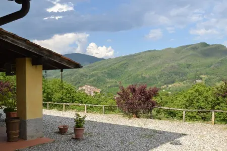 Olivi Giallo, Cottage à Pescia avec piscine - Photo 25