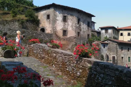 Olivi Giallo, Cottage à Pescia avec piscine - Photo 34